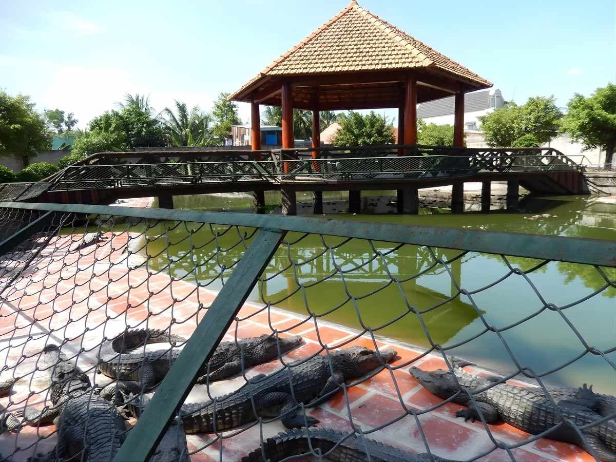 Trại cá sấu Long Xuyên gắn với mô hình du lịch trải nghiệm sản xuất đặc thù An Giang.