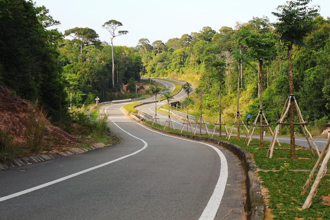 Cung đường di chuyển đến Bãi Thơm rợp bóng cây xanh của khu rừng nguyên sinh.